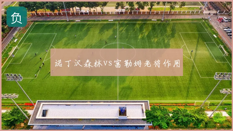 诺丁汉森林vs富勒姆老将作用